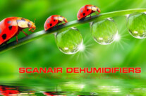 Dehumidifiers Manufacturers & suppliers in Mumbai, New Delhi, Kolkata, Chennai, Bangalore, Hyderabad, Pune India