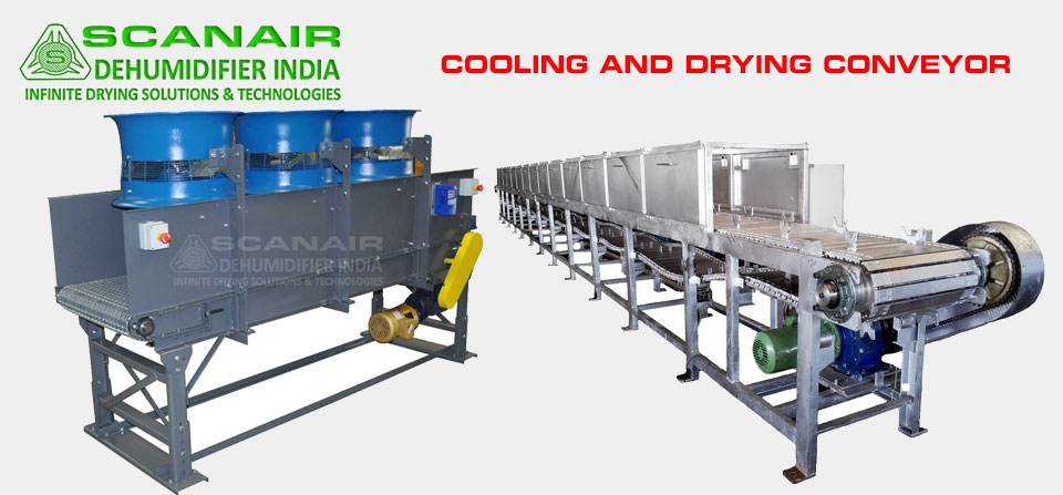 Cooling and Drying Conveyor